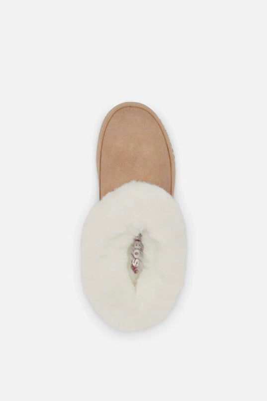 Coffee run bootie discount slipper