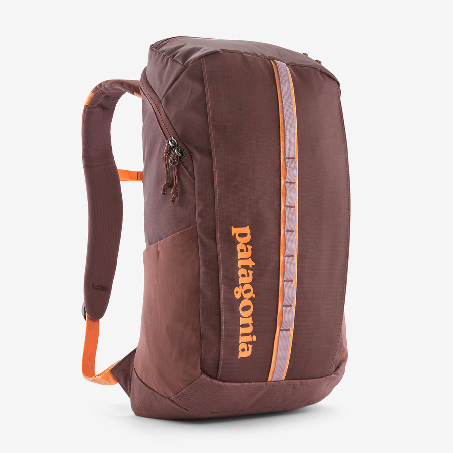 Patagonia Black Hole Back Pack 25L