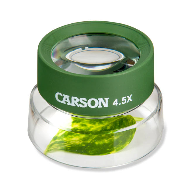 Carson 4.5X BugLoupe Magnifier