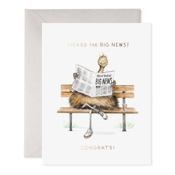 E. Frances Big News Congrats Greeting Card